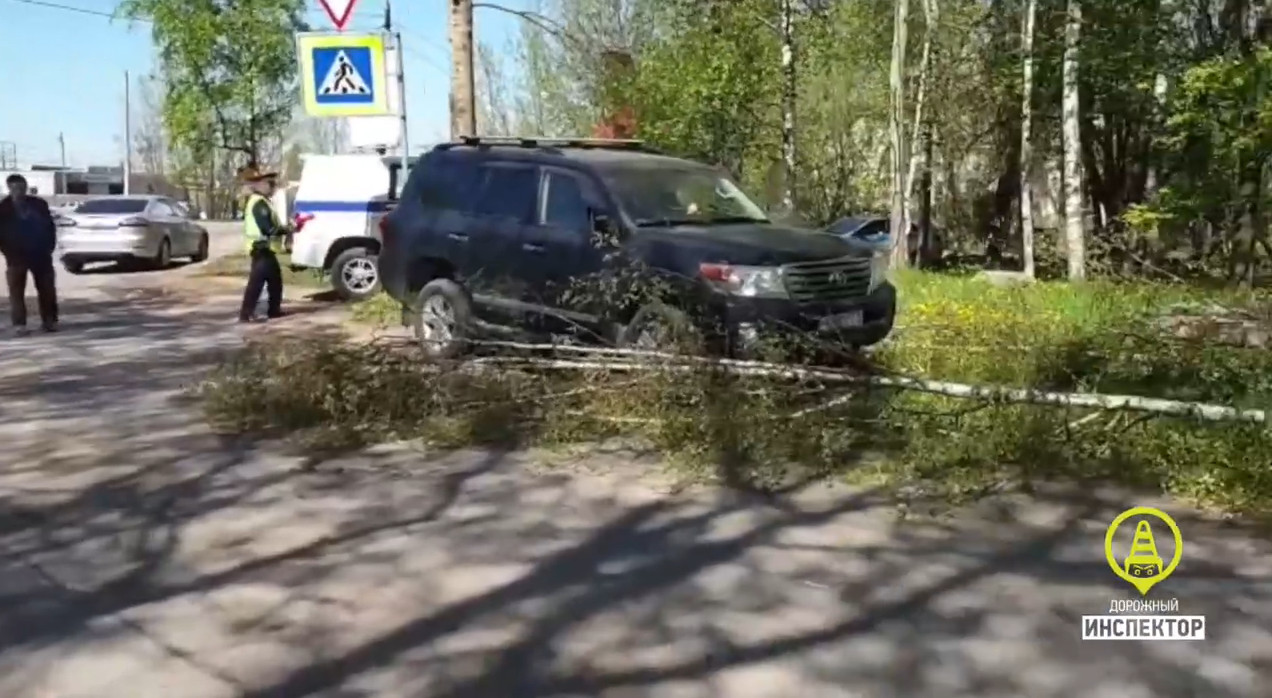 Кадр из видео в vk.com/dorinspb